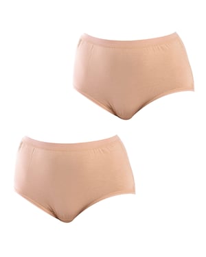 Pack of 2 Bamboo Panties for Women Plus Sizes Q908R