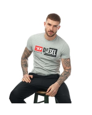 Diesel T Shirt Mens Grey Diego Cuty Short Sleeve