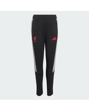 Adidas lfc tr pnty replica trainingsbroek jongens -