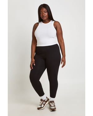 Plus Basic High Waist Legging