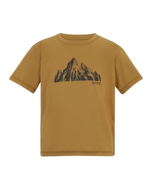 Regatta Childrens/Kids Alvarado Back Print T-Shirt (Wood Brown)