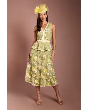 Lisa Tan Embroidered Mesh Midi Dress