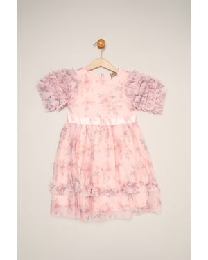 Floral Mesh Dress with Ruffle Sleeves