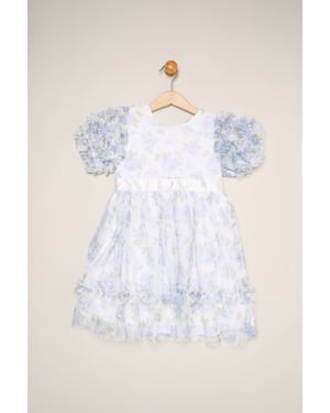 Floral Mesh Dress with Ruffle Sleeves
