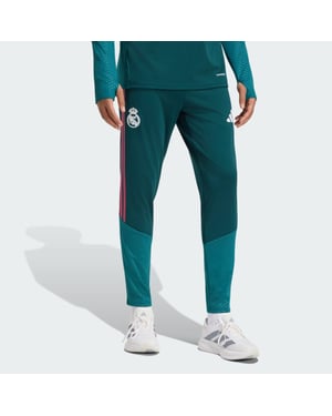 Adidas real tr pnt replica trainingsbroek voetbal dames -