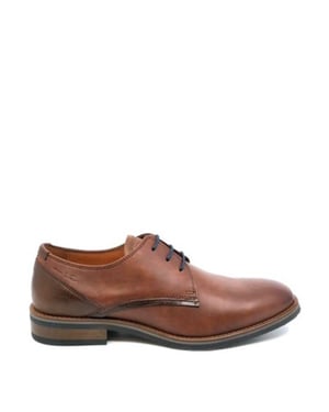 Van Lier 2218621