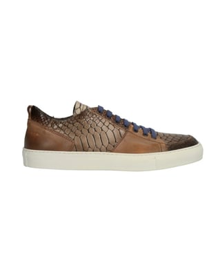 Lorenzi 5879