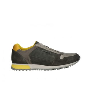 Cycleur de Luxe Cdl161197