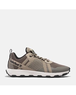 Timberland Winsor trail