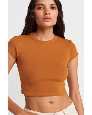 Dames Slim Fit Korte Crop Crew Neck T-Shirt