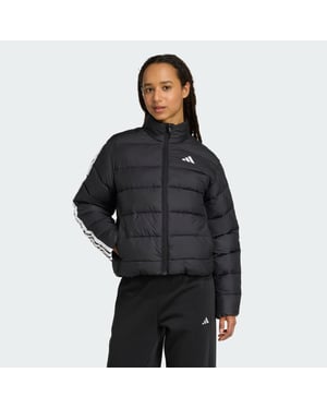 Essentials CLIMAWARM 3-Stripes Synthetic Down Jackets