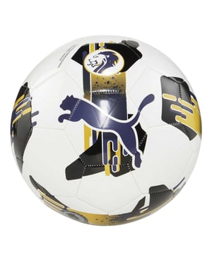 Puma Orbita 6 SPFL Voetbal (Wit/blauw)