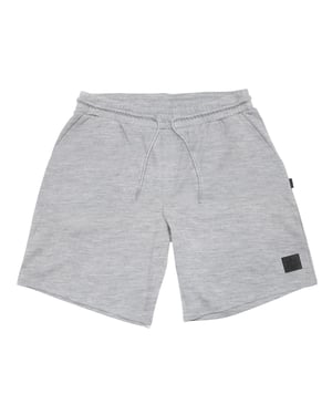 Aquascutum Casual Korte Broeken voor Volwassenen (Grijs)