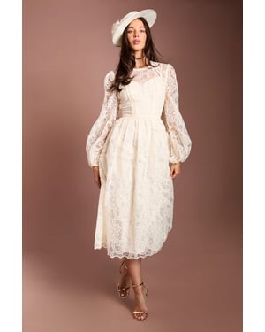 Lisa Tan Sleeve Embroidered Organza Midi Dress