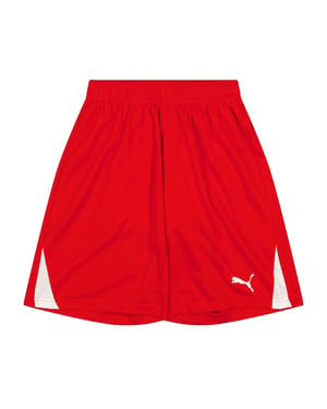Puma Kinderen/Kinderen Team Shorts (Rood)