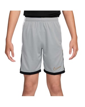 Nike Shorts met kinderlogo (Grijs/Goud)