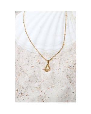 Label Kiki We shell sea necklace gold