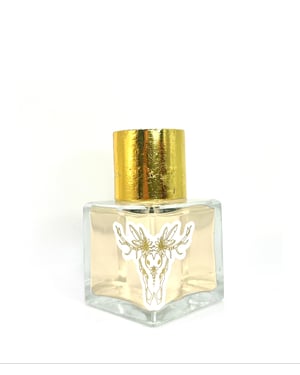 Twisted Fate 50ml EDP