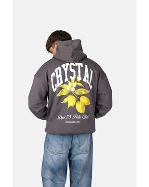 Crystal Paris Oversized hoodie Polo Club