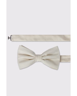 Bow Tie in Ecru