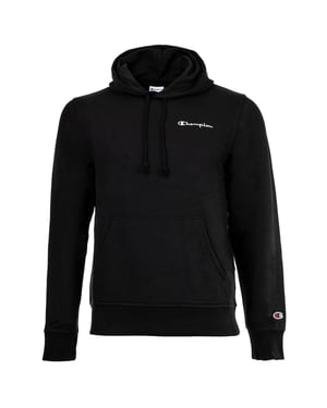 Champion Sweater