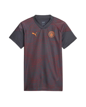 Puma Unisex trainingsshirt voor volwassenen van Manchester City FC (Grijs)