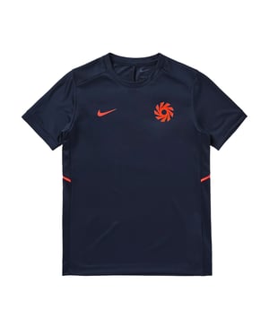 Nike Voetbalshirt Erling Haaland Academy voor kinderen (Blauw/Goud)