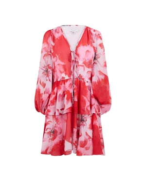 Ted Baker Dames/Dames Leyna Floral Mini Dress (Rood)
