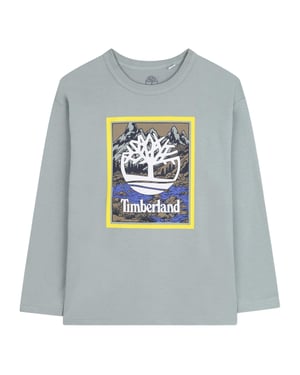 Timberland Jongens Berg Logo T-Shirt (Grijs)