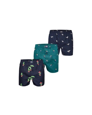 Happy Shorts X heren wijde boxershort met binnenbroek cactus/tucan groen/zeemeeuw print 3-pack