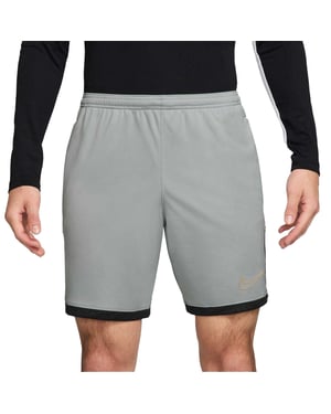 Nike Mens Academy Shorts (Grå/Guld)