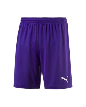 Puma Velize voetbalshort voor kinderen (Paars)