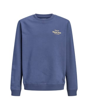 Jack & Jones Sweat 12309118 jornorre