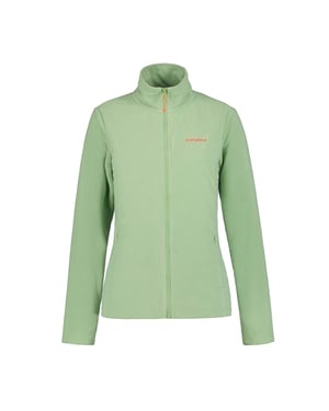 Icepeak Dames/Dames Berwick Full Zip Fleecejack (Groen)