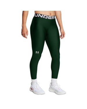 Under Armour Dames/dames HeatGear Leggings (Groen)