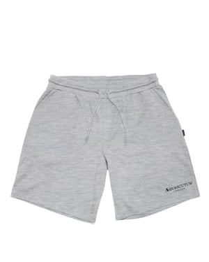 Aquascutum Heren Sweat Shorts (Grijs)
