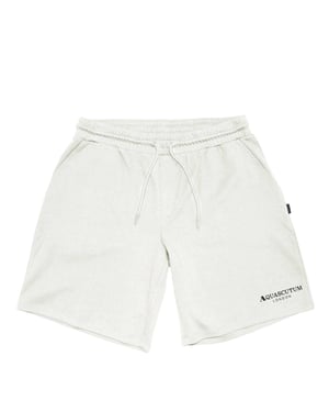 Aquascutum Fleece-sweatshorts met logo voor heren (Beige)