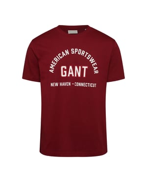 Men's Gant Printed Graphic T- Shirt in PLUMPED RED