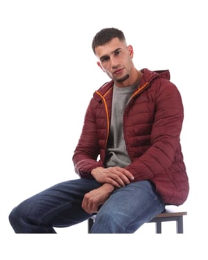 Aquascutum Heren Logo Pufferjack (Bordeaux)
