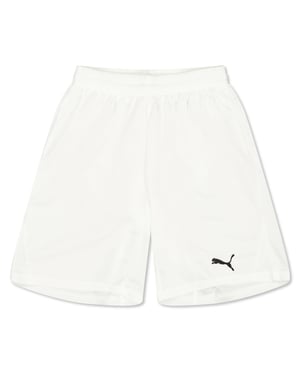 Boys Puma Fb Team Shorts With Brief Juniors in .White
