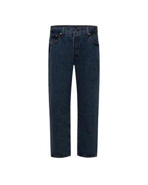 Women's Levis 501 90s Ankle in Shout Out Sto