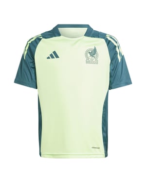 Boys adidas Tr Jersey Y Football Shirt Unisex Kids in Green Spark