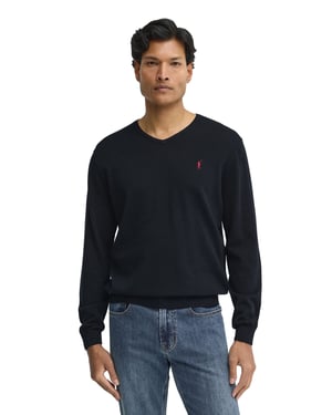 Men's V-Neck Sweater PULLOVER11