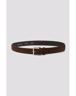 Belt in Dark Brown