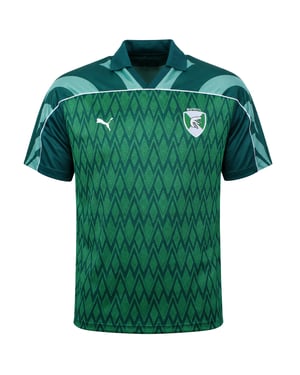 Puma x Harry Potter Relaxed Mens Green Jersey