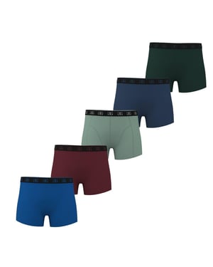 Giorgio Boxershorts voor jongens (set van 5) (Zwart/Blauw/Rood/Grijs)