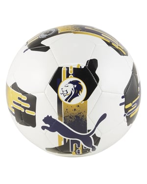 Accessories Puma 6 SPFL Football 2024 2025 in White/Blue