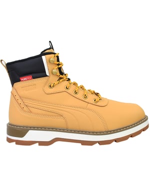 Puma Desierto V3 Puretex Mens Brown Boots
