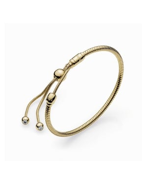 Pandora Armband Goud