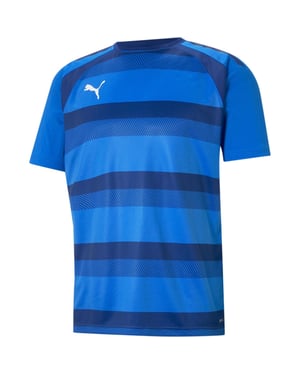 Men's Puma Teamvision Jersey T-Shirt in Blue/Limo/White